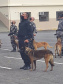 Policial Penal participa de treinamento com cães ofertado pela PM