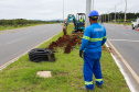 Governo do Estado inicia obras da nova iluminação da Rodovia João Leopoldo Jacomel