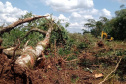 Batalhão Ambiental emite mais de 3,4 mil autuações e aplica mais de R$ 60,2 milhões em multas por crimes ambientais em 2021