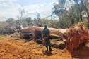 Batalhão Ambiental emite mais de 3,4 mil autuações e aplica mais de R$ 60,2 milhões em multas por crimes ambientais em 2021