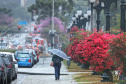 Curitiba fecha o ano com mais chuvas, mas ainda abaixo da média histórica