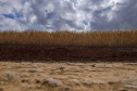 PARANÁ AGRO