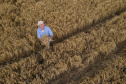 PARANÁ AGRO