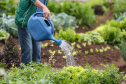 Ações do Estado ampliam segurança alimentar e fortalecem agricultura familiar