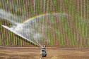 PARANÁ AGRO