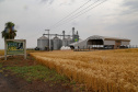 PARANÁ AGRO