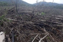 Homem é preso pela Polícia Ambiental por desmatamento ilegal de sete hectares em Antonina, no Litoral do estado