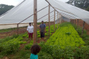 Famílias beneficiadas pelo Renda Agricultor Familiar têm suas histórias narradas em revista 
