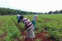 Famílias beneficiadas pelo Renda Agricultor Familiar têm suas histórias narradas em revista 