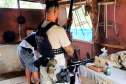 Polícia Civil apreende armas e munições em Guaratuba