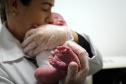 Paraná implementa projeto de Biometria Neonatal para garantir segurança de recém-nascidos