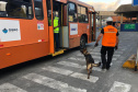 Portos do Paraná reforçam segurança com inspeções com cães de faro