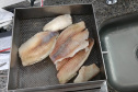IPEM Paraná alerta consumidores sobre cuidados na compra de pescados