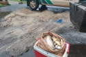 Polícia Ambiental prende seis e aplica R$ 11 mil em multas ao constatar pesca ilegal no Lago Itaipu, no Oeste do estado