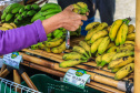 Paraná ganha a partir desta sexta-feira mapa estadual de feiras orgânicas e agroecológicas