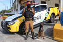 Rodovias estaduais terão policiamento reforçado pela Polícia Rodoviária Estadual durante o feriado de Páscoa