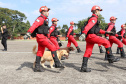 Polícia Militar do Paraná faz cerimônia em homenagem a Tiradentes, em São José dos Pinhais