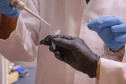 Professores da Pós em Zootecnia aprovam projeto junto ao CNPq sobre qualidade do leite