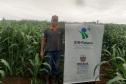 Sorgo pode ser alternativa para alimentar gado leiteiro no inverno