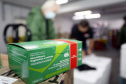 Mais de meio milhão de vacinas contra a gripe já foram aplicadas no Paraná