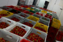 Apoio do Estado e cooperativismo ajudam a promover agricultura orgânica no Paraná 
