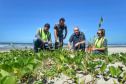 Litoral terá mais de 100 mil metros quadrados de restinga plantada em 2024