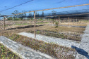 Litoral terá mais de 100 mil metros quadrados de restinga plantada em 2024