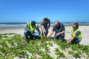 Litoral terá mais de 100 mil metros quadrados de restinga plantada em 2024