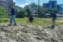 Litoral terá mais de 100 mil metros quadrados de restinga plantada em 2024