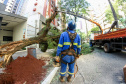 Com trabalho intenso durante a noite, Copel religa quase 90% das unidades afetadas pelo temporal - Na  foto,  trabalhos na área central dae Maringá: avenidas Mandacaru, XV de Novembro, Colombo e Rua Piratininga - Curitiba, 24/04/2022