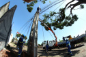 Com trabalho intenso durante a noite, Copel religa quase 90% das unidades afetadas pelo temporal - Na  foto,  trabalhos na área central dae Maringá: avenidas Mandacaru, XV de Novembro, Colombo e Rua Piratininga - Curitiba, 24/04/2022