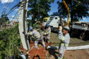  Com trabalho intenso durante a noite, Copel religa quase 90% das unidades afetadas pelo temporal - Na foto, trabalhos na área central dae Maringá: avenidas Mandacaru, XV de Novembro, Colombo e Rua Piratininga - Curitiba, 24/04/2022 Com trabalho intenso durante a noite, Copel religa quase 90% das unidades afetadas pelo temporal - Na foto, trabalhos na área central de Maringá: avenidas Mandacaru, XV de Novembro, Colombo e Rua Piratininga - Curitiba, 24/04/2022