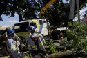  Com trabalho intenso durante a noite, Copel religa quase 90% das unidades afetadas pelo temporal - Na foto, trabalhos na área central dae Maringá: avenidas Mandacaru, XV de Novembro, Colombo e Rua Piratininga - Curitiba, 24/04/2022 Com trabalho intenso durante a noite, Copel religa quase 90% das unidades afetadas pelo temporal - Na foto, trabalhos na área central de Maringá: avenidas Mandacaru, XV de Novembro, Colombo e Rua Piratininga - Curitiba, 24/04/2022