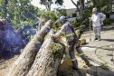  Com trabalho intenso durante a noite, Copel religa quase 90% das unidades afetadas pelo temporal - Na foto, trabalhos na área central dae Maringá: avenidas Mandacaru, XV de Novembro, Colombo e Rua Piratininga - Curitiba, 24/04/2022 Com trabalho intenso durante a noite, Copel religa quase 90% das unidades afetadas pelo temporal - Na foto, trabalhos na área central de Maringá: avenidas Mandacaru, XV de Novembro, Colombo e Rua Piratininga - Curitiba, 24/04/2022
