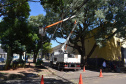 Equipes da Copel trabalham na reconstrução das redes elétricas danificadas pelo temporal do fim de semana - Curitiba, 25/04/2022