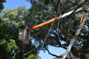 Equipes da Copel trabalham na reconstrução das redes elétricas danificadas pelo temporal do fim de semana - Curitiba, 25/04/2022