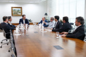 Governador