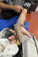 Polícia Militar do Paraná apreende animais silvestres e grande variedade de cobras - 