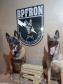 BPFRON