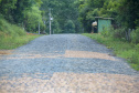 Estrada Rural na Comunidade de Ribeirão de Cima, em Teixeira Soares - 
