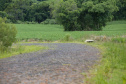 Estrada Rural na Comunidade de Ribeirão de Cima, em Teixeira Soares - 