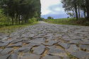 Estrada Rural na Comunidade de Ribeirão de Cima, em Teixeira Soares - 