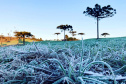Frio intenso marca a semana no Paraná