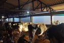 O vice-governador Darci Piana e o secretário de Estado da Agricultura e do Abastecimento, Norberto Ortigara, participaram nesta quinta-feira (12) da abertura da 15ª ExpoFrísia, no pavilhão do Parque Histórico de Carambeí, na região dos Campos Gerais - 