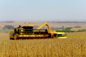 IDR-Paraná celebra 50 anos de pesquisa com lançamento de novas cultivares