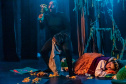 Governo inicia série de apresentações do projeto Crianças no Teatro