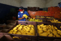  Programa da Ceasa Paraná faz doação de 6 mil quilos de hortigranjeiros ao Hospital Erasto Gaertner