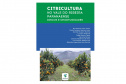 Publicação do IDR-Paraná discute oportunidades da citricultura no Vale do Ribeira