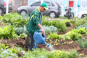 HORTA