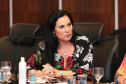 Vice-governador do Estado do Paraná, Darcia Piana, durante reunião com cônsules da União Europeia - 
